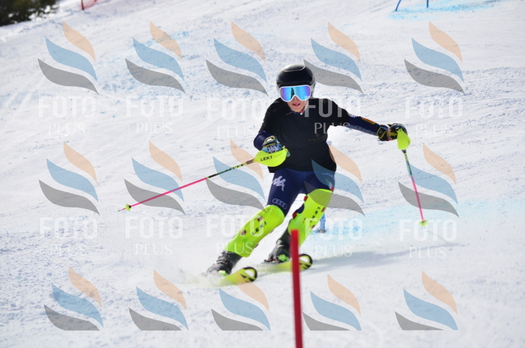 C9985 | holidayphoto