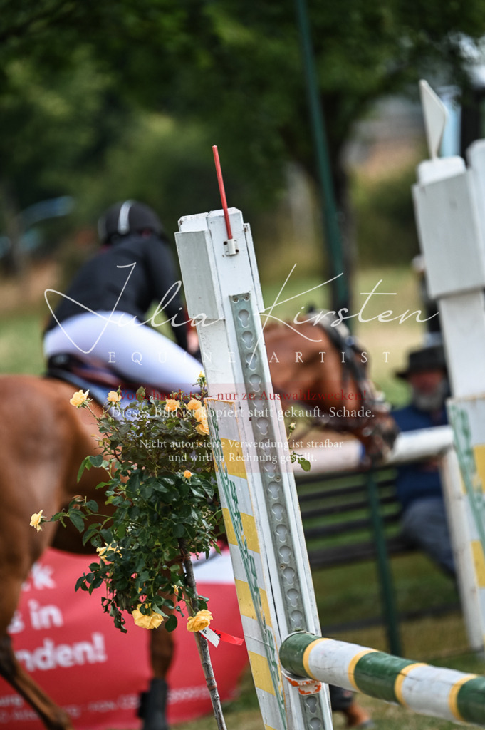 DSC_7846 | Pferde- und Turnierfotografie in Westsachsen. Pferdeportraits, Auftragszeichnungen und intuitive Kunst.