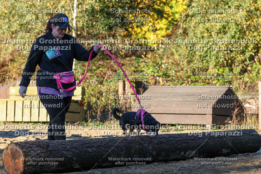 Dog Paparazzi - Strongdog 10-25-1005 | Dog Paparazzi Jeanette Grottendiek Fotografie & Videografie - Realisiert mit Pictrs.com