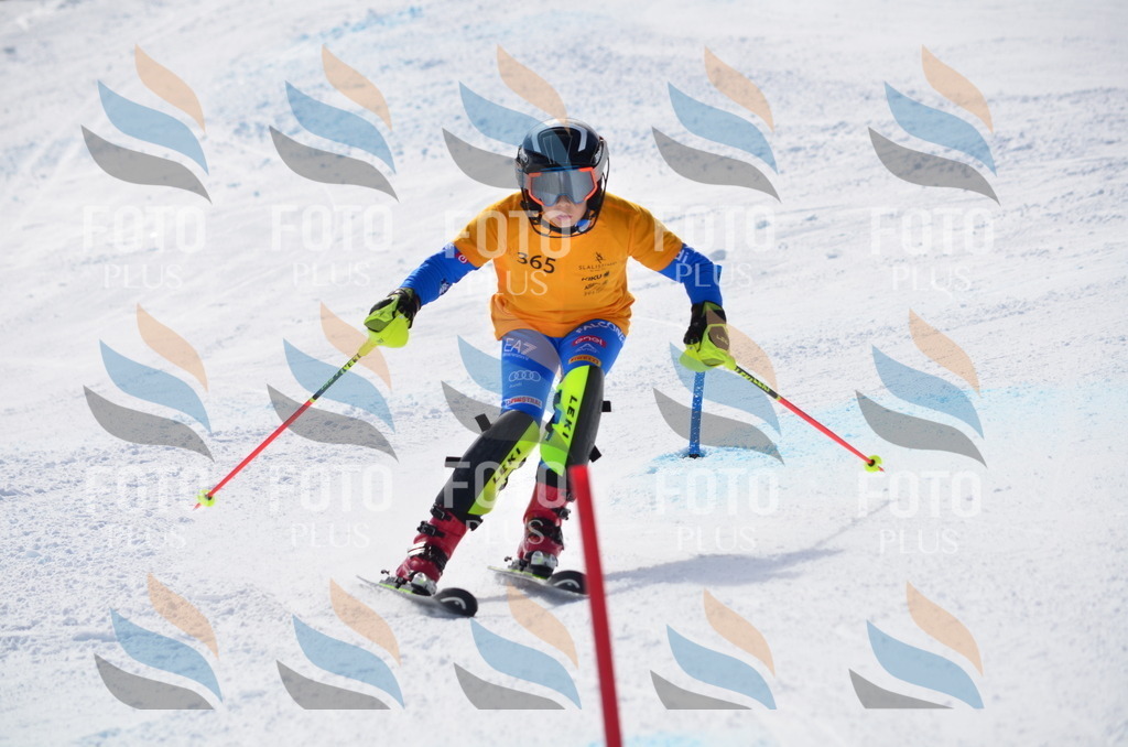 C9879 | holidayphoto