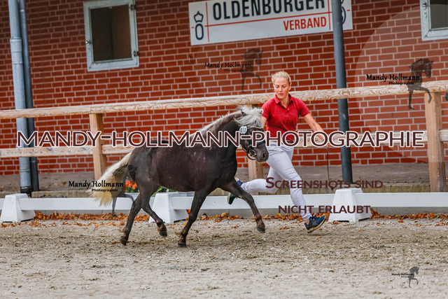 SH (277 von 345) | mandyhollmannphotographie
