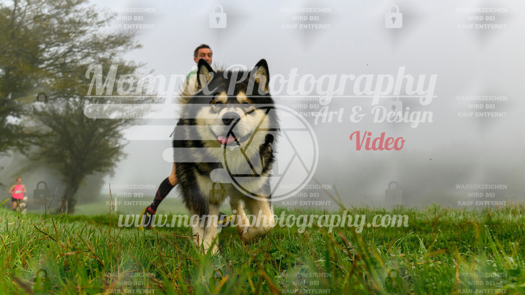 MompixPhotography_20TSB_E5_Run-4 | PayLife