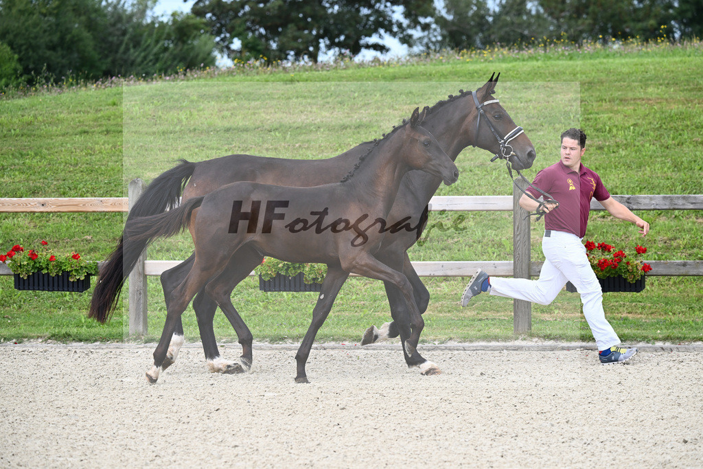 Zauberlehrling x Fidertanz_SF_Kopp_29240016 | hf-fotografie - Realisiert mit Pictrs.com