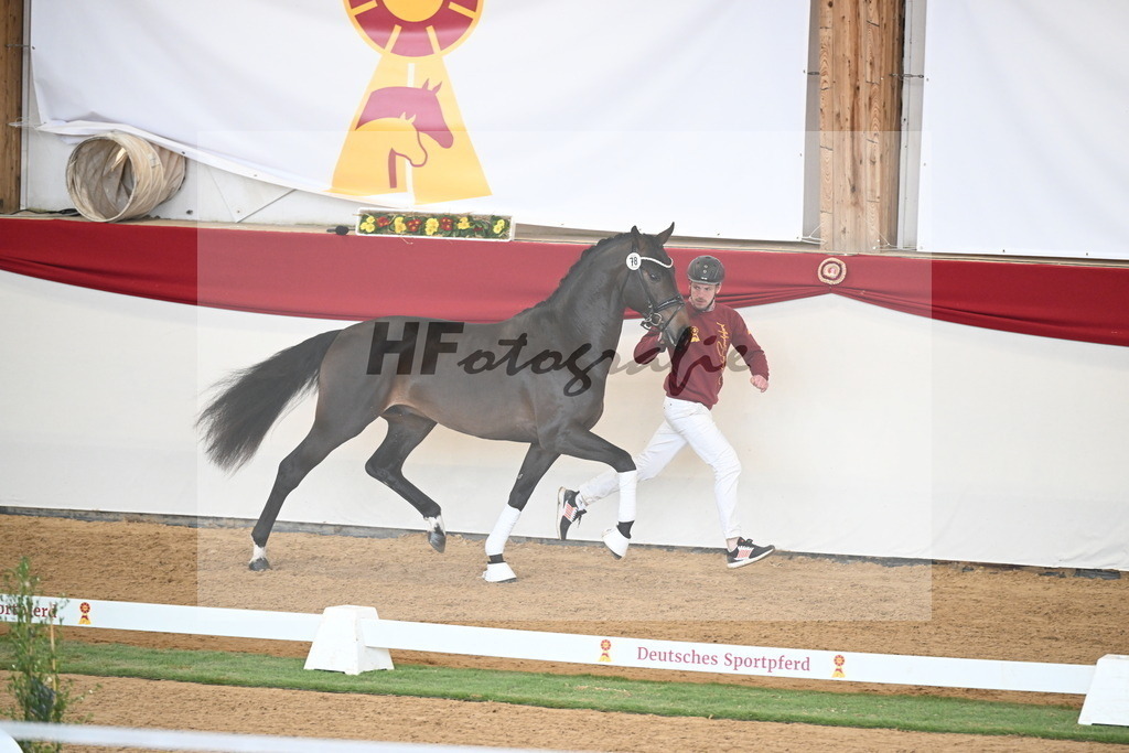 Kat.-Nr. 78 v. Springbank II VH_Reichert_2250741 | hf-fotografie - Realisiert mit Pictrs.com