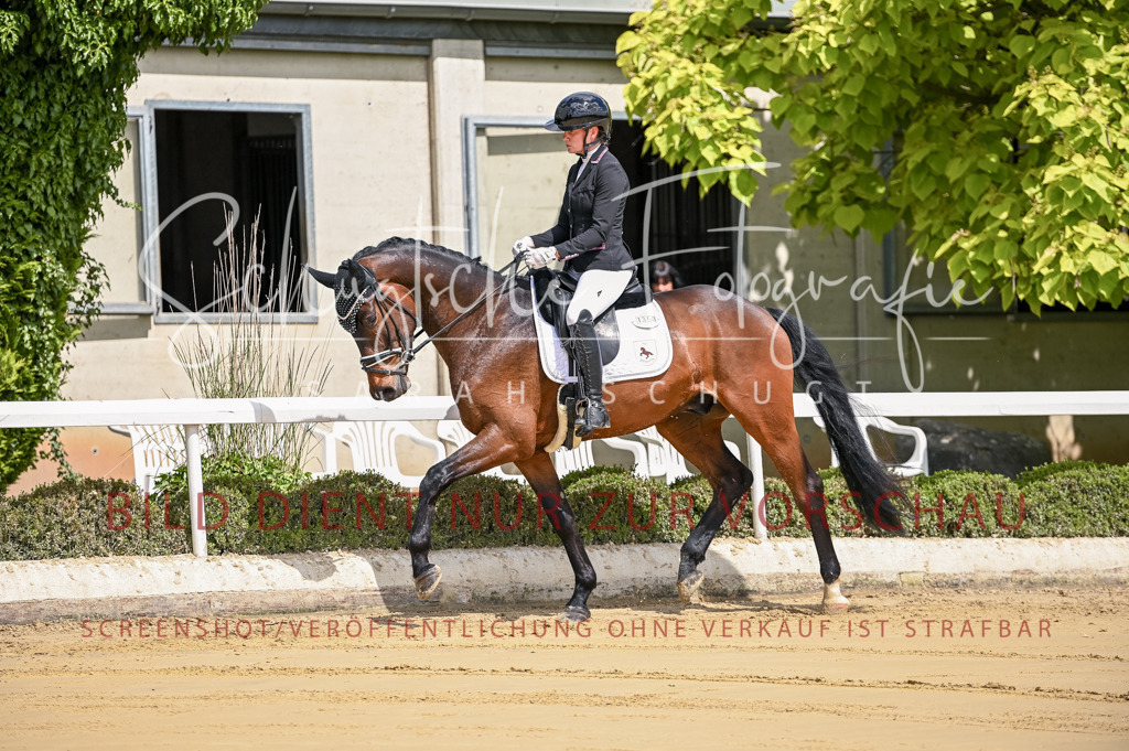 Schugtsche-Aluta25-48.Reitpferfdeprf.-26 | Schugtsche Fotografie - Realisiert mit Pictrs.com