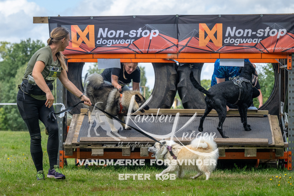 1547_ZZ94135 | kk-dogfotos