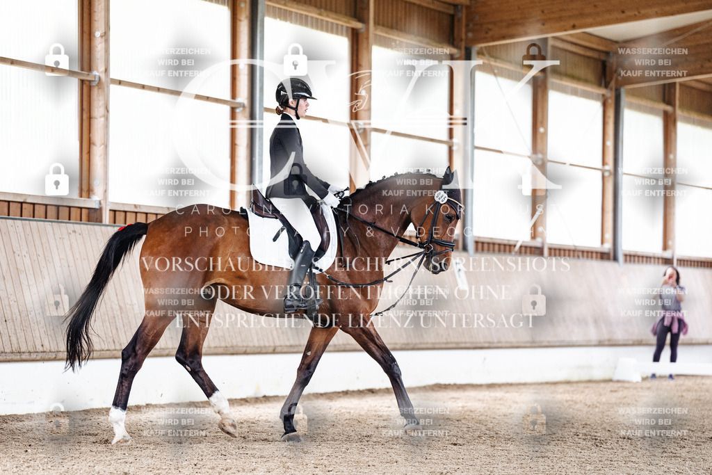 CK900743 | Turnierfotografie Pferdefotografie Trier Rheinland-Pfalz Pferdesport Reitsport Tierfotografie Sportfotografie Pferdevideo Pferdevideografie Equestrianvideography equestrianphotography  - Realisiert mit Pictrs.com