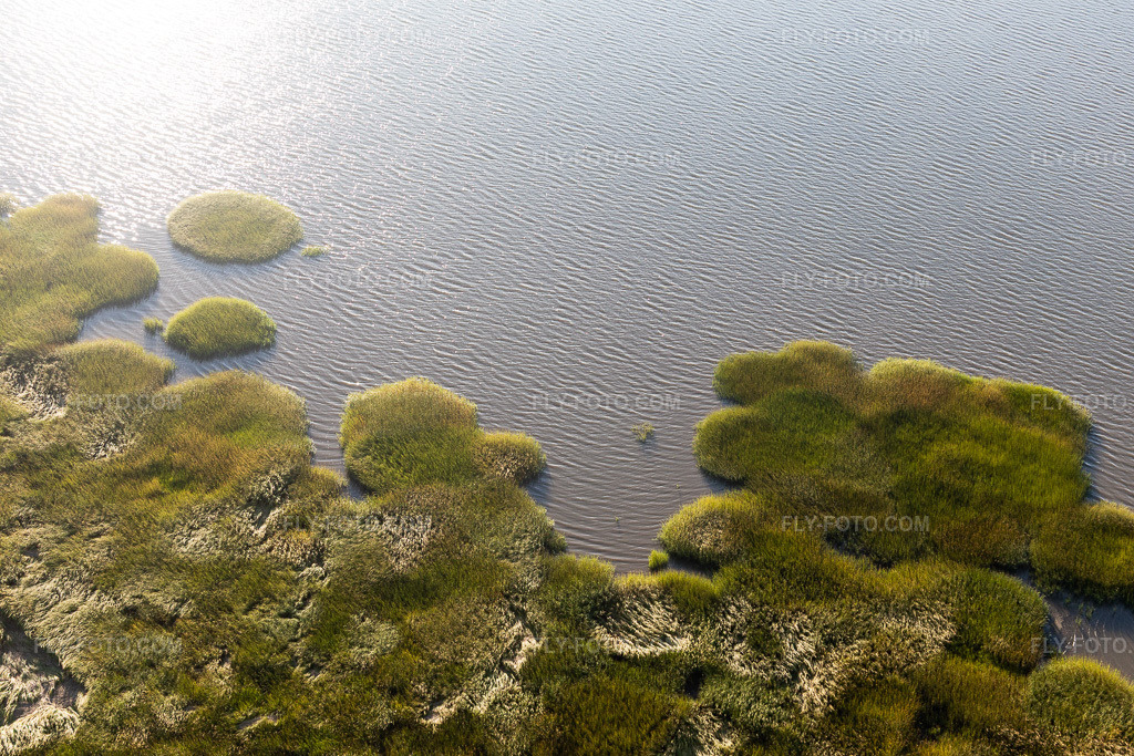 Aerial view: Wadden Sea National Park in Fanø in the state South Denmark, Denmark.Photo: IMG_118836.jpg taken on 09/21/2019 by Werner Riehm/FLY-FOTO.comResolution of the original: 5472 x 3648 px