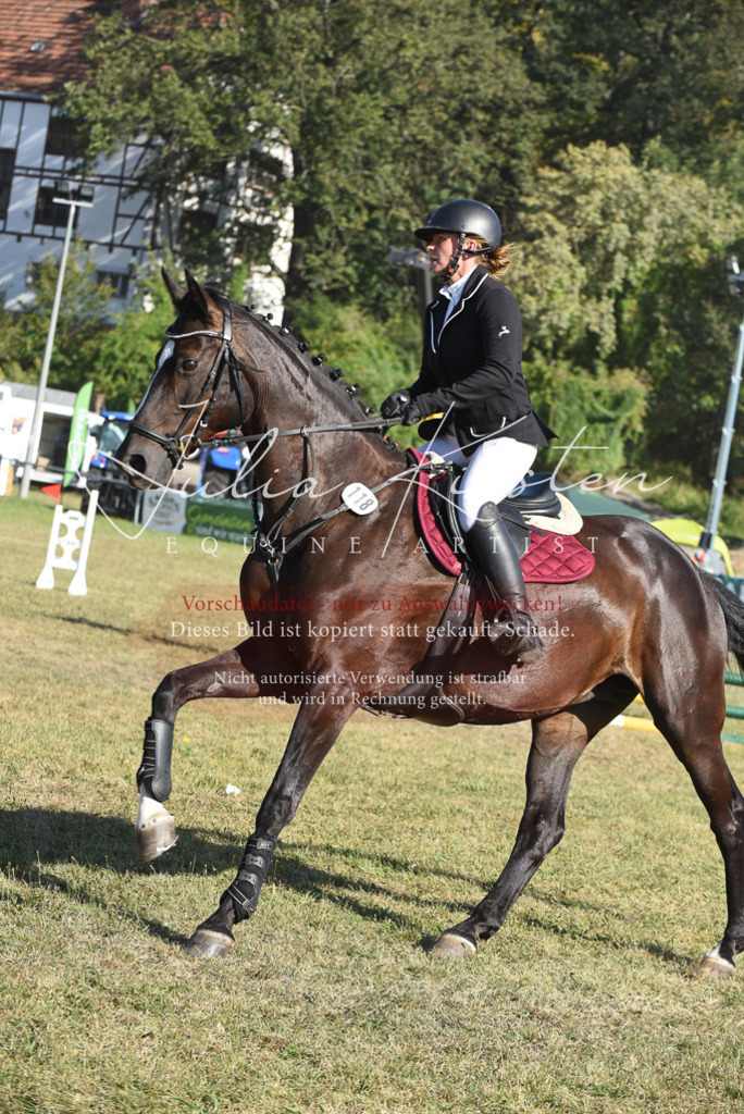 DSC_5388 | Pferde- und Turnierfotografie in Westsachsen. Pferdeportraits, Auftragszeichnungen und intuitive Kunst.