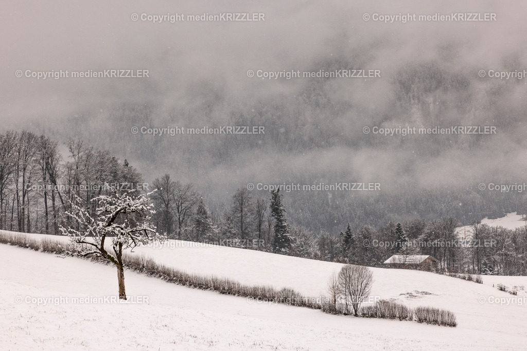 _J3A9940 | medienkrizzler - Realisiert mit Pictrs.com