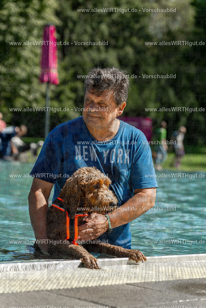 Hundeschwimmen_Volksbad_2026-allesWIRTHgut_Tierfotografie-2609061254-120420-7R500281 | Professionelle Tierfotografie in Mönchengladbach von Daniel Wirth (allesWIRTHgut). Liebevolle & natürliche Bilder von Hunden & Katzen für unvergessliche Erinnerungen.