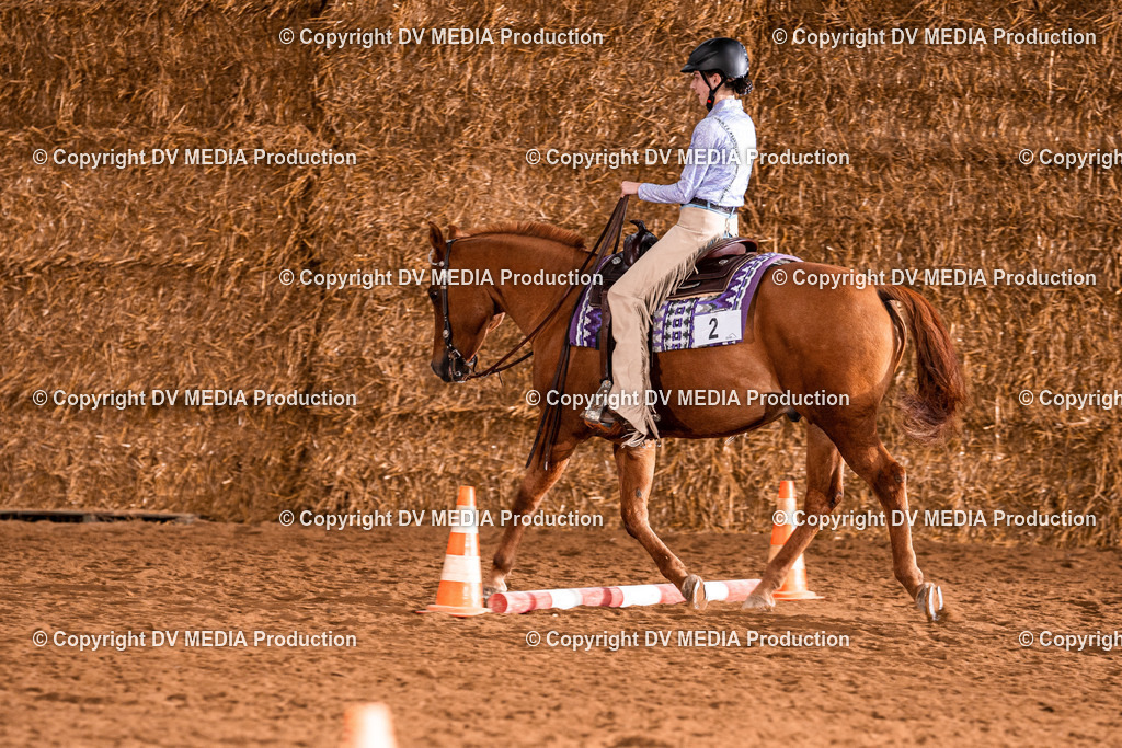 Balingen Tag 1-862 | dv-media-shop - Realisiert mit Pictrs.com