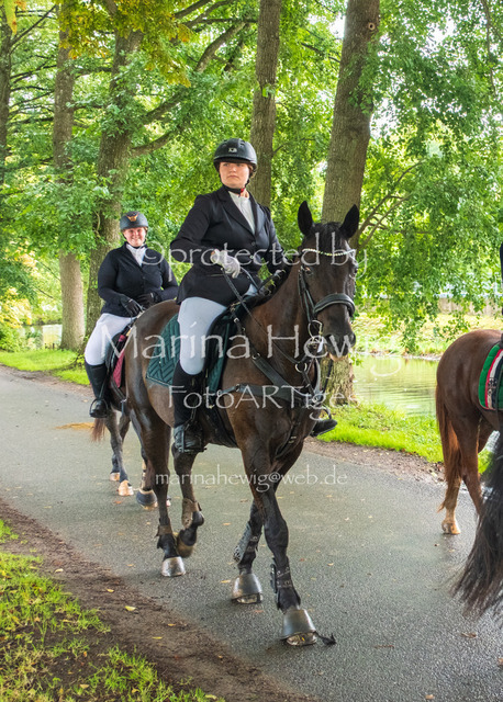 Jagd Kletkamp 26-9582_MarinaHewig | Fotografie, FotoArt, PferdesportArt, Pferdesportfotografie, Landschaftsfotografie, Reisefotografie, Reise, Pferde - Realisiert mit Pictrs.com