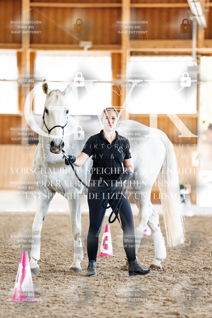 CK907769 | Turnierfotografie Pferdefotografie Trier Rheinland-Pfalz Pferdesport Reitsport Tierfotografie Sportfotografie Pferdevideo Pferdevideografie Equestrianvideography equestrianphotography  - Realisiert mit Pictrs.com
