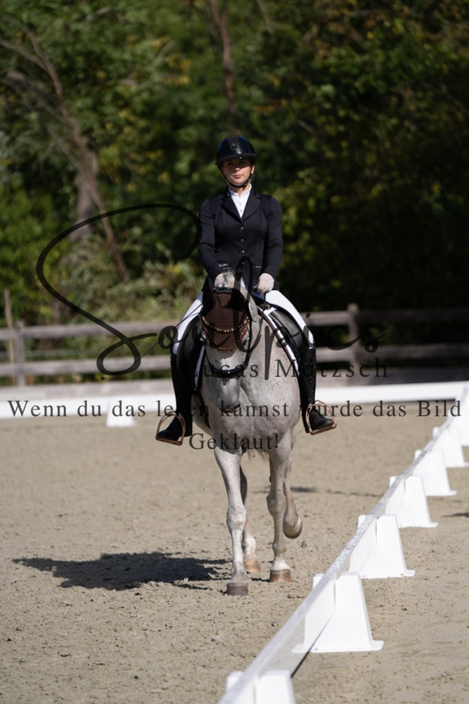 A7V07050 | Turnier/Reitfotograf