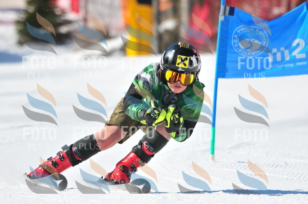 C3678 | holidayphoto