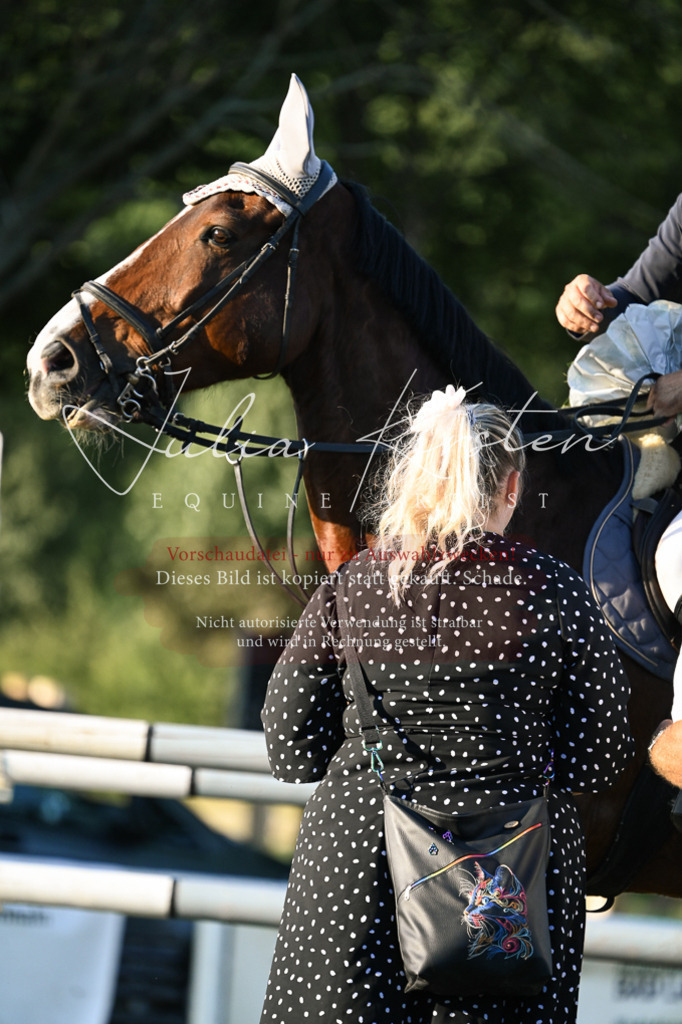 DSC_2028 | Pferde- und Turnierfotografie in Westsachsen. Pferdeportraits, Auftragszeichnungen und intuitive Kunst.