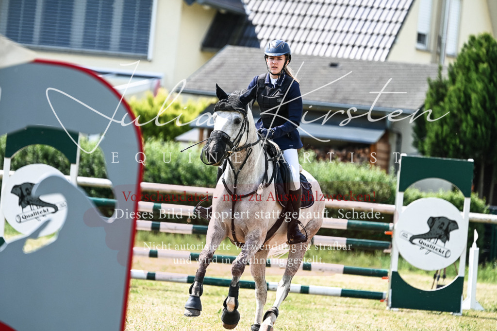 DSC_8807 | Pferde- und Turnierfotografie in Westsachsen. Pferdeportraits, Auftragszeichnungen und intuitive Kunst.