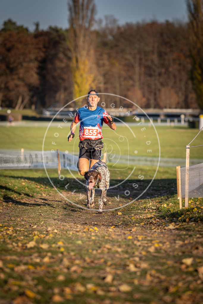 CaniXpix_DV3A3941 | Hundefotografie, Tierfotograf, Pfotenfotografie, Fotoshooting Hund, Hunde Portrait, Hundesport, Hundeportraits, Heideshooting, Hunde, Sportfotograf, Hundefotograf, Turnierhundsport, THS,  - Realisiert mit Pictrs.com
