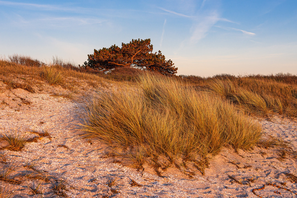 Strand in Kloster auf der Insel Hiddensee | Strand in Kloster auf der Insel Hiddensee.