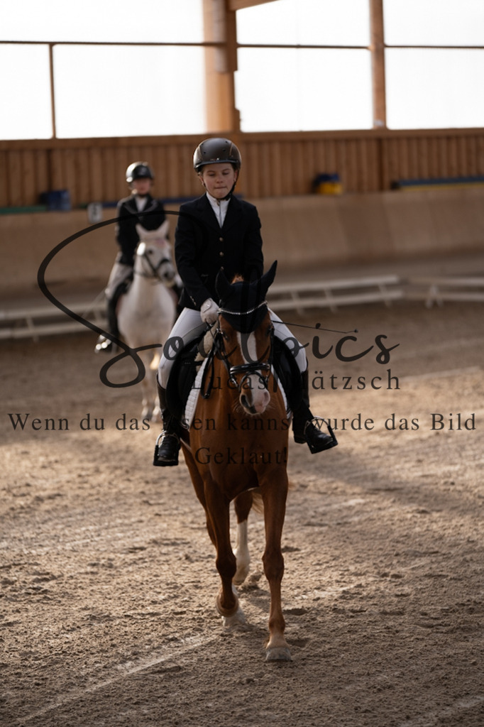 A7V09131 | Pferdefotograf