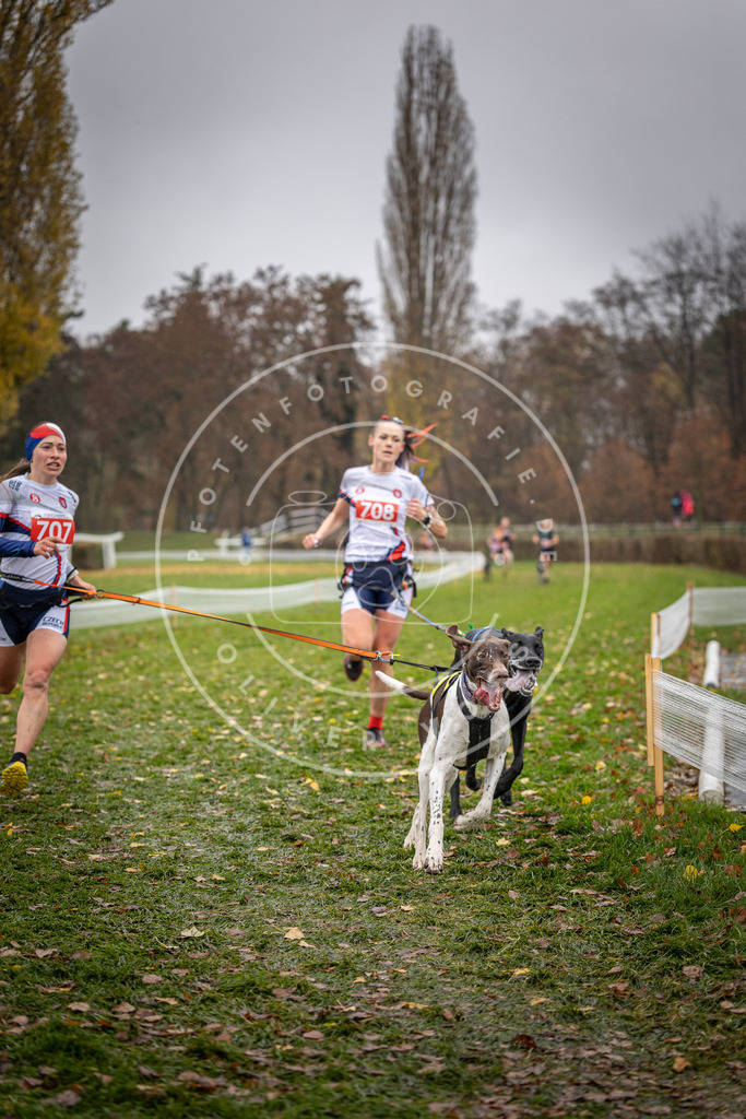 CaniXpix_DV3A9108 | Hundefotografie, Tierfotograf, Pfotenfotografie, Fotoshooting Hund, Hunde Portrait, Hundesport, Hundeportraits, Heideshooting, Hunde, Sportfotograf, Hundefotograf, Turnierhundsport, THS,  - Realisiert mit Pictrs.com