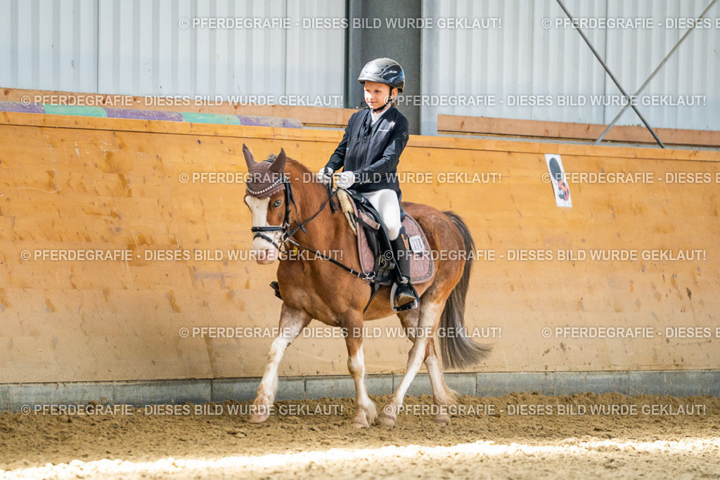 DSC02844 | Pferdegrafie