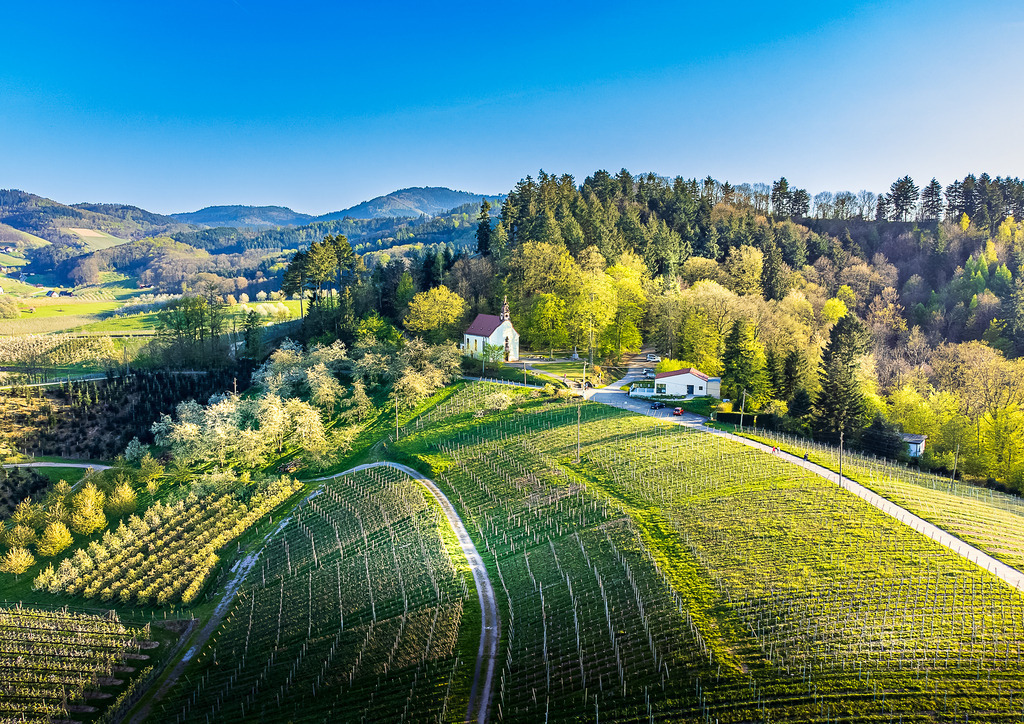 MPI_Renchtal_0002 | Sankt Wendelins Kapelle in Bottenau - Realisiert mit Pictrs.com