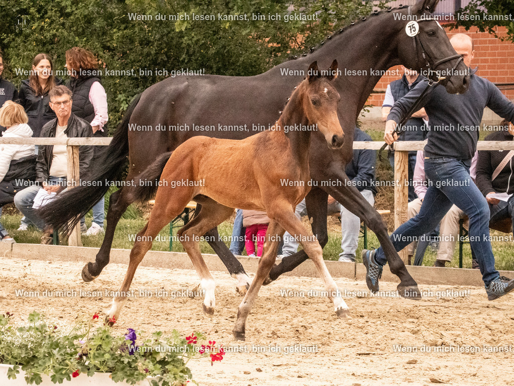 A10I1516 | photographylinaismer - Realisiert mit Pictrs.com