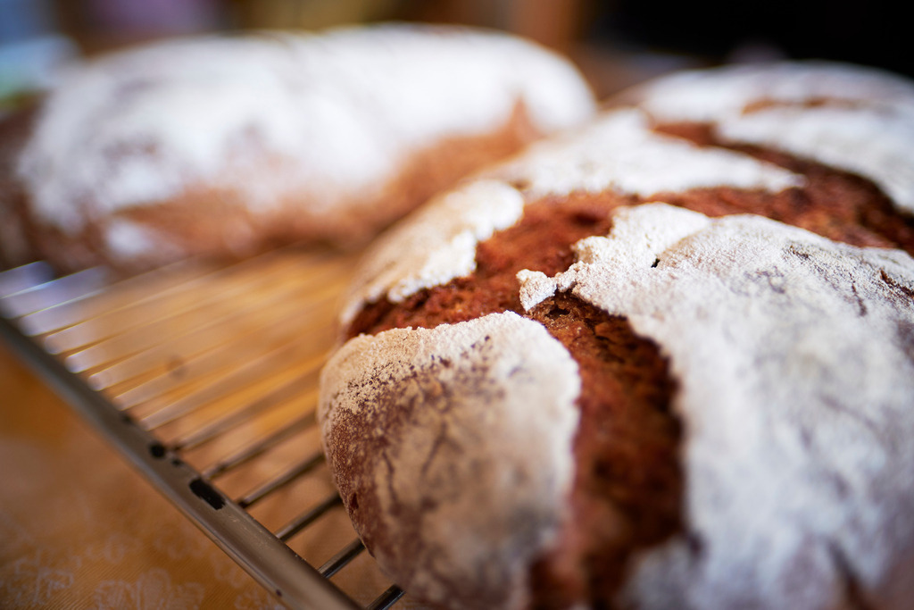 fertiges Roggenbrot beim auskühlen | Wien, Austria - April 12, 2020: fertige gebackenes Roggenbrot beim auskühlen. - Realisiert mit Pictrs.com