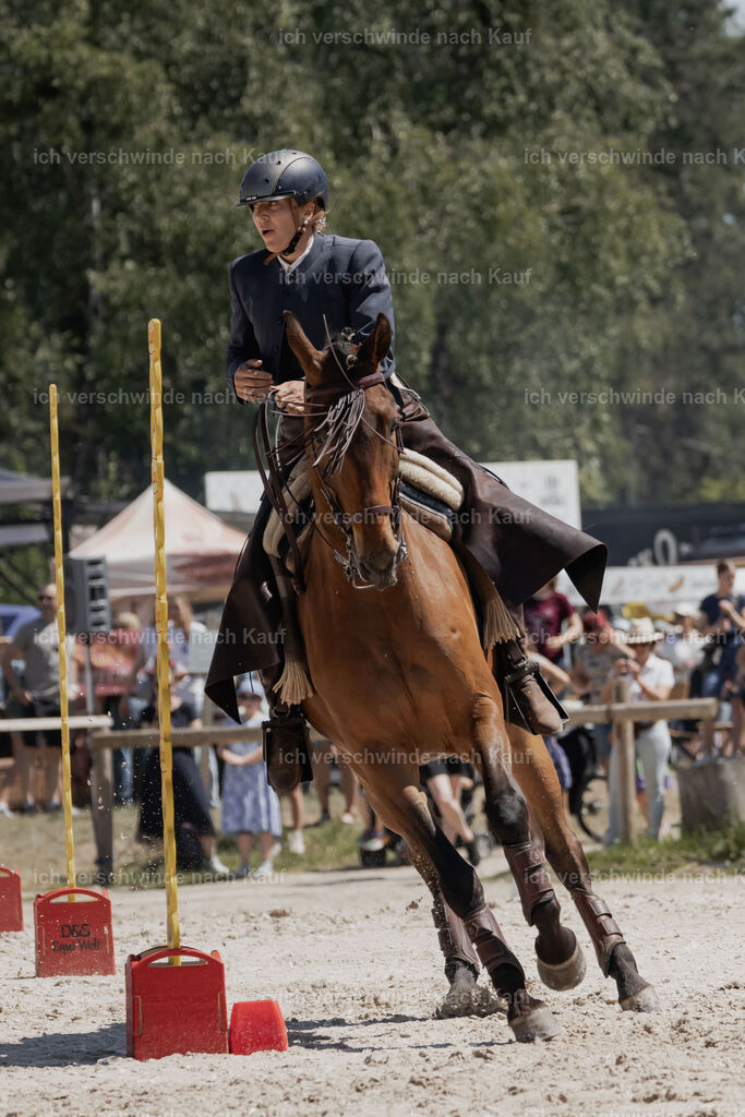 WE_SP_Stoib_313_PI2025_1769 | Pferd International München 2025