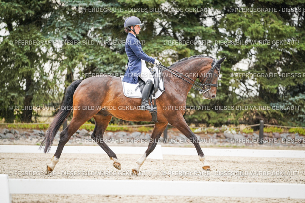 DSC07926 | Pferdegrafie