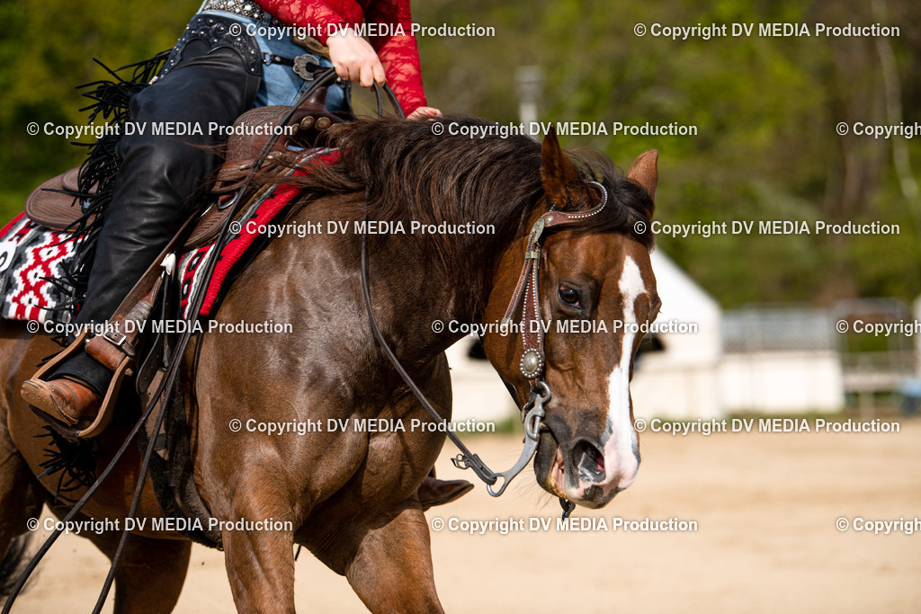 Heiligenwald Tag 2-271 | dv-media-shop - Realisiert mit Pictrs.com