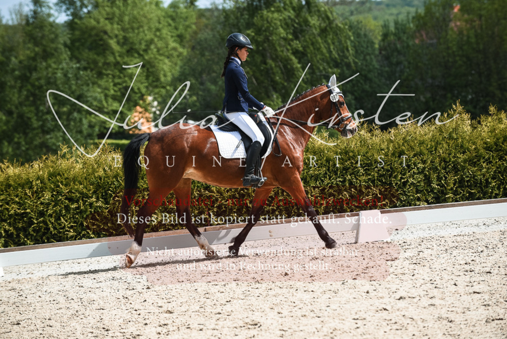 20230518_JK-Röhrsdorf-11-0675 | Pferde- und Turnierfotografie in Westsachsen. Pferdeportraits, Auftragszeichnungen und intuitive Kunst.