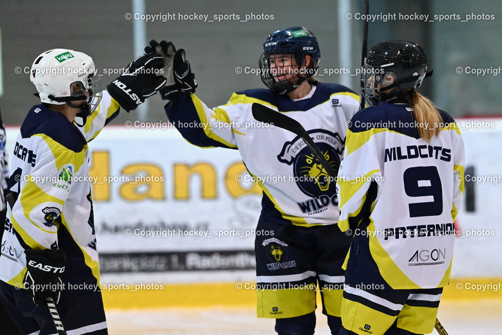 BST_6352 | hockey sports photos, Pressefotos, Sportfotos, hockey247, win 2day icehockeyleague, Handball Austria, Floorball Austria, ÖVV, Kärntner Eishockeyverband, KEHV, KFV, Kärntner Fussballverband, Österreichischer Volleyballverband, Alps Hockey League, ÖFB, 