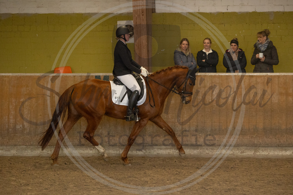 994A9366 | sabrinanicolaifotografie - Realisiert mit Pictrs.com