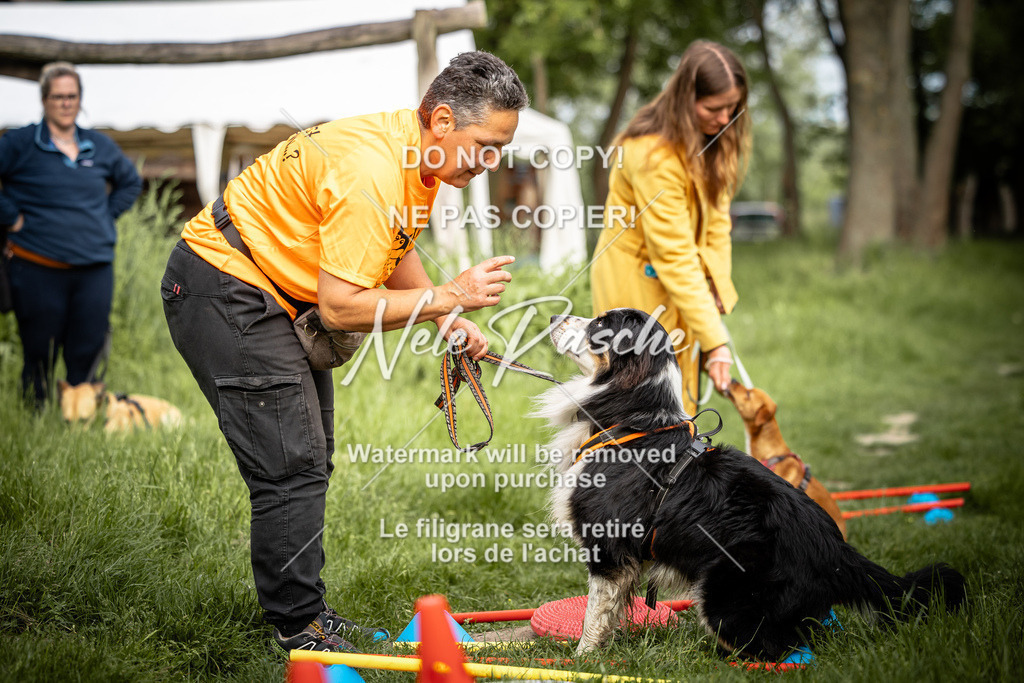 nelerasche_So-earlydog_59 | nelerasche