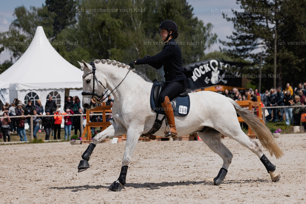 PI26_SP_StoibphotographyC2_C3188.CR3 | working equitationturnier fotograf videograf stoibphotography marixx film working equitation deutschland reitsport turnierfotografie eventfotografie equestrian events