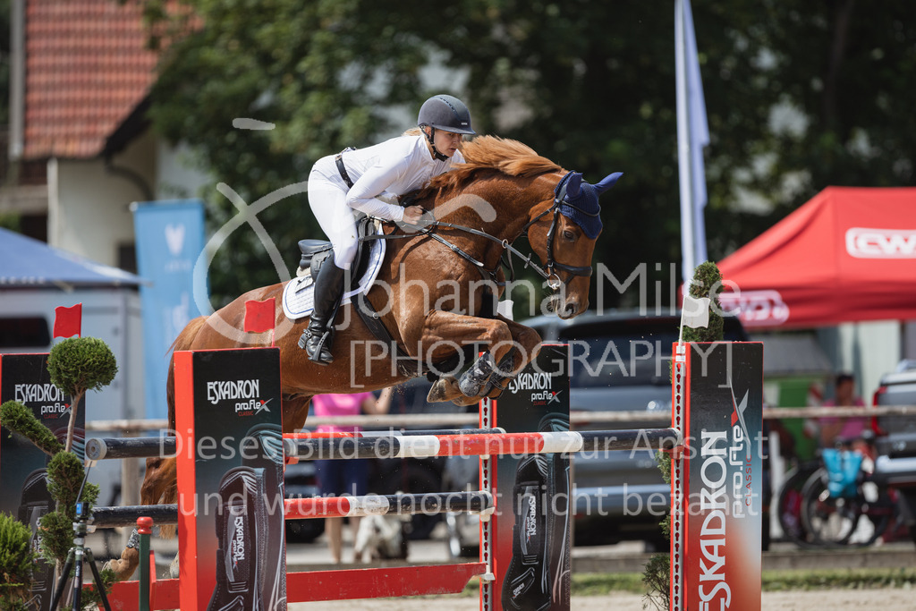 230624_PfSpTa_YoungsterM2-852 | Deine schönsten Turniermomente als professionelle Fotos! Entdecke hochwertige Pferdesport-Fotografie im Online-Shop. Jetzt Fotos finden & bestellen!