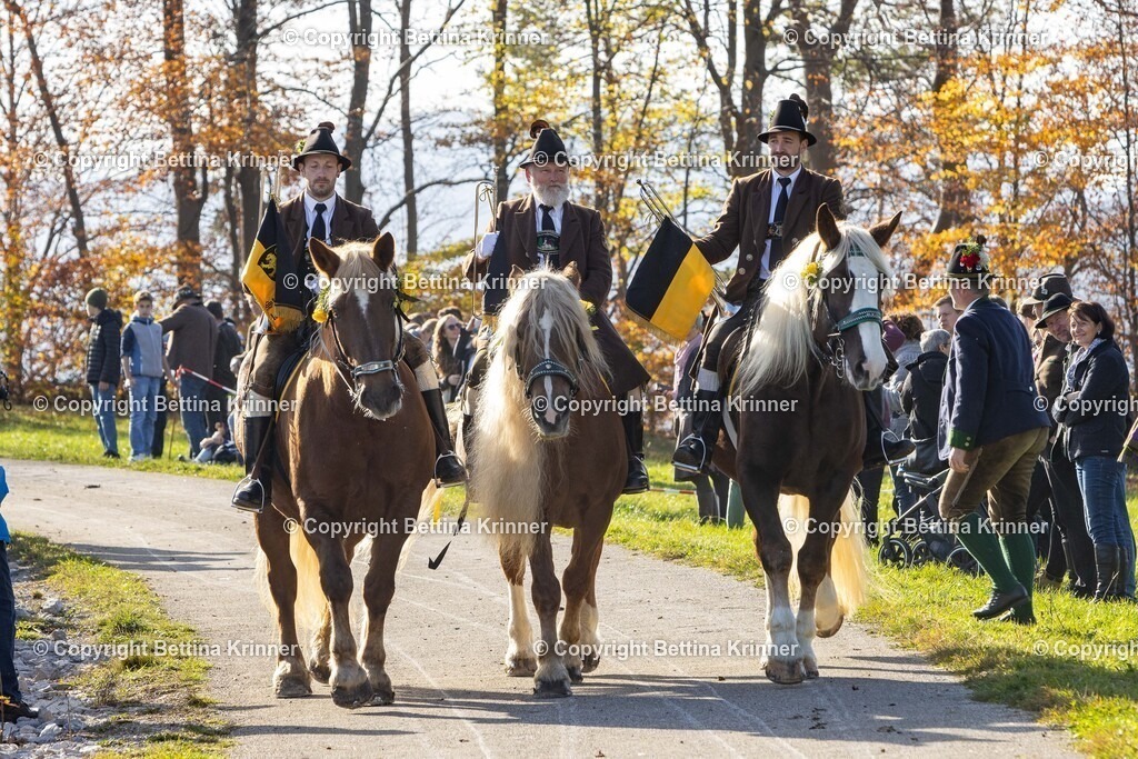LBT24-1151 | foto-bettina-krinner - Realisiert mit Pictrs.com