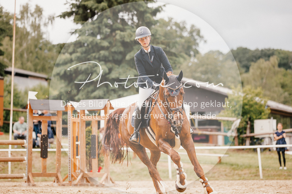 3I6A2475 | Stimmungsvolle Portraits und Reitsportfotografie im Ruhrgebiet und im Münsterland.

Pferdefotografie, Hundefotografie, Tierfotografie, Reportagen, Portraits von Tier und Mensch, Turnierfotografie in Bochum, Recklinghausen, Marl, Haltern am See, Dülmen.. - Realisiert mit Pictrs.com