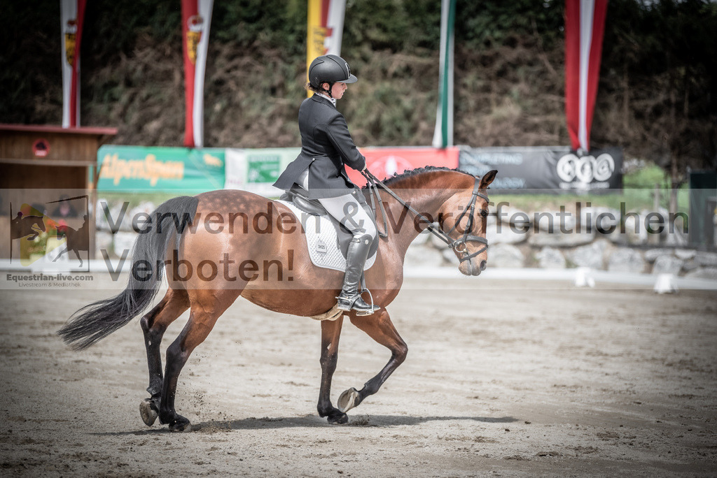 DSC_2412 | equestrian-live-com