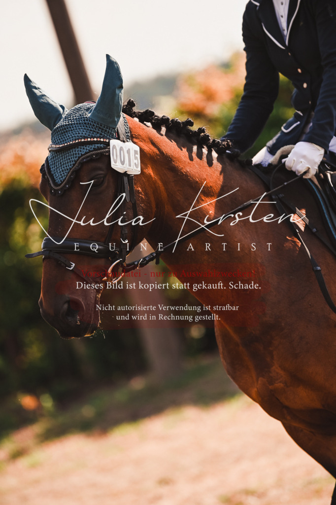 DSC_7337 | Pferde- und Turnierfotografie in Westsachsen. Pferdeportraits, Auftragszeichnungen und intuitive Kunst.