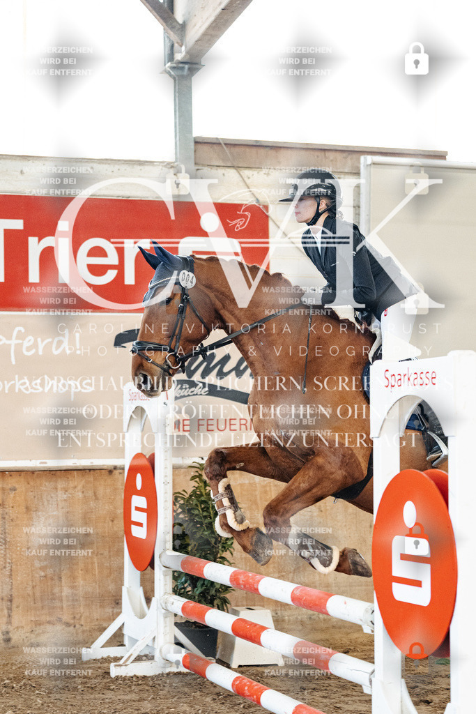CK904068 | Turnierfotografie Pferdefotografie Trier Rheinland-Pfalz Pferdesport Reitsport Tierfotografie Sportfotografie Pferdevideo Pferdevideografie Equestrianvideography equestrianphotography  - Realized with Pictrs.com