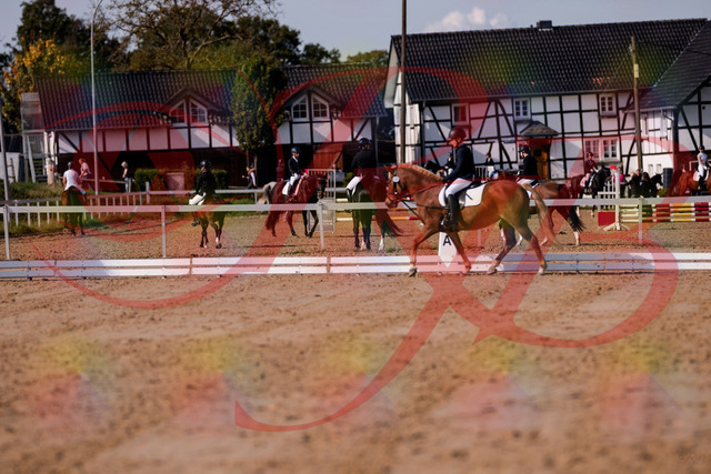 2026_10_03_Siefer-Hof_120016_Z81_01612302 | Professionelle Reitsport-, Turnier- und Eventfotografie von Robert Broda. Galerien mit ausgewählten und bearbeiteten Bildern direkt online ansehen und bestellen.