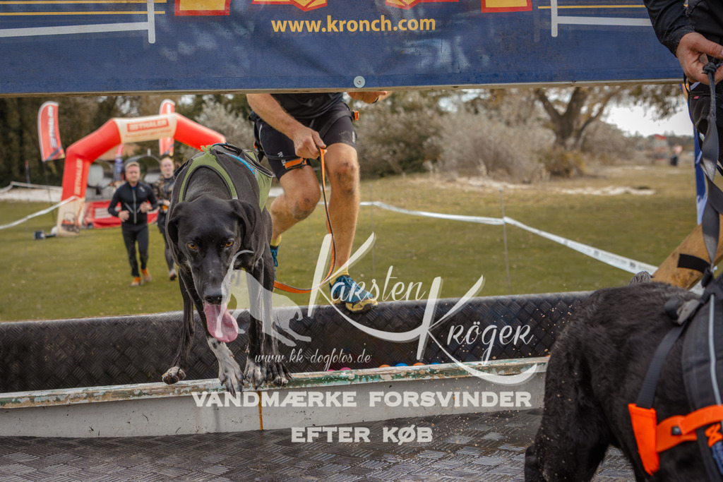 1337_ZZ91669-2 | kk-dogfotos