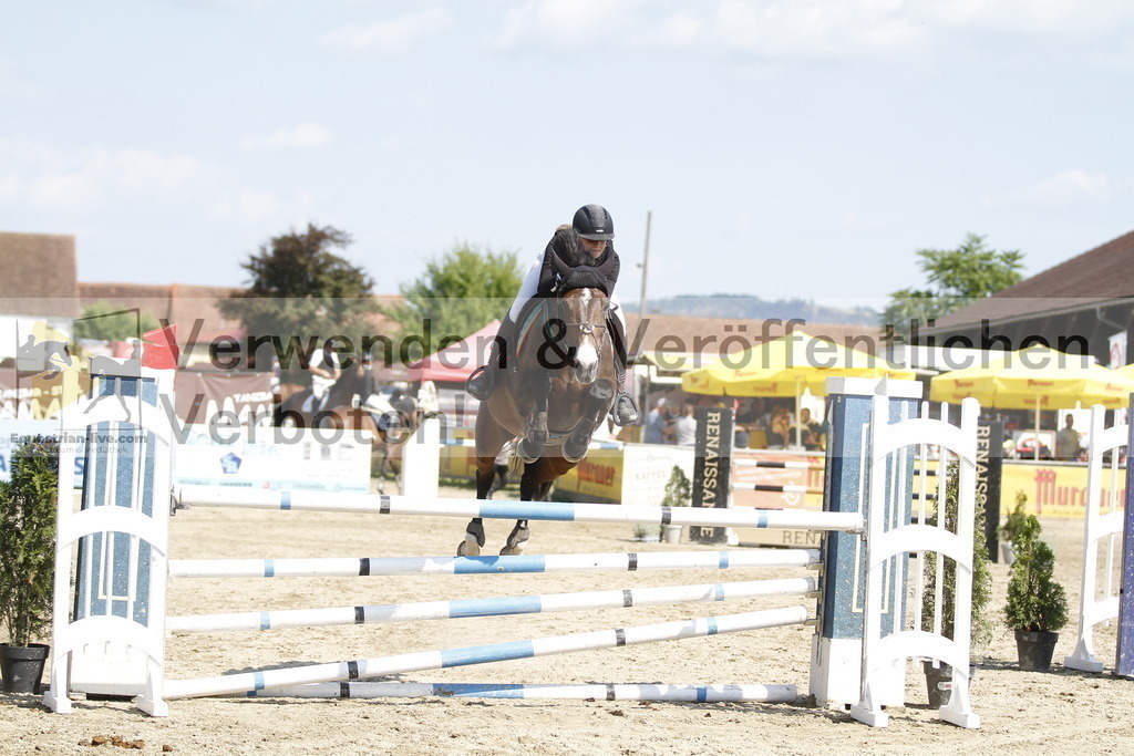 _MG_3293 | equestrian-live-com