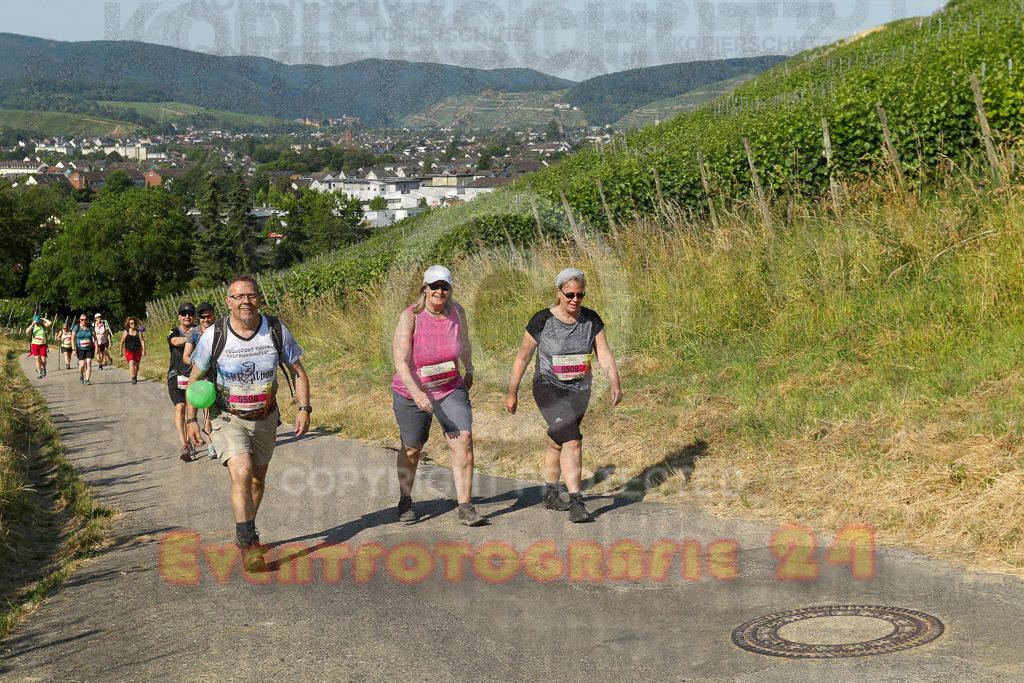 230617_0931_EV9_6565 | Sportfotografie im Rhein-Sieg Kreis, Köln, Bonn, NRW, Rheinland Pfalz, Hessen, etc. Unser Tätigkeitsfeld umfasst den Laufsport vom Volkslauf über den Marathon, Duathlon, Triathon bis zum Ultralauf wie Kölnpfad Ultra oder Schindertrail.