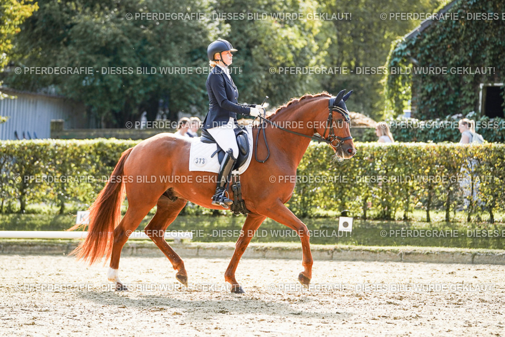 DSC07330 | Pferdegrafie