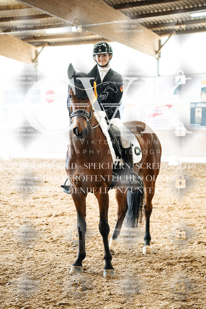 CK703131 | Turnierfotografie Pferdefotografie Trier Rheinland-Pfalz Pferdesport Reitsport Tierfotografie Sportfotografie Pferdevideo Pferdevideografie Equestrianvideography equestrianphotography  - Realized with Pictrs.com